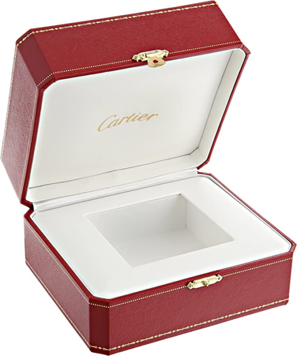 CARTIER SANTOS 100 Silver Gray 38mm - Image 5