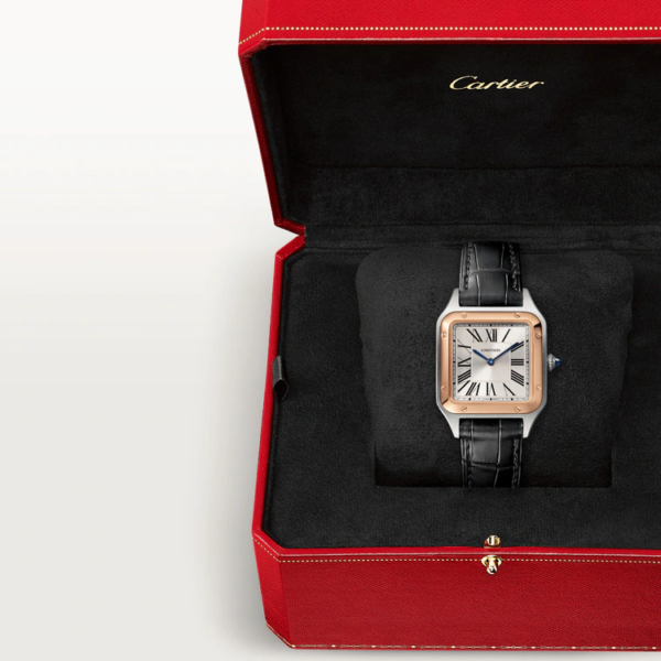 CARTIER SANTOS-DUMONT Rose Gold MIx 43.5mm - Image 7