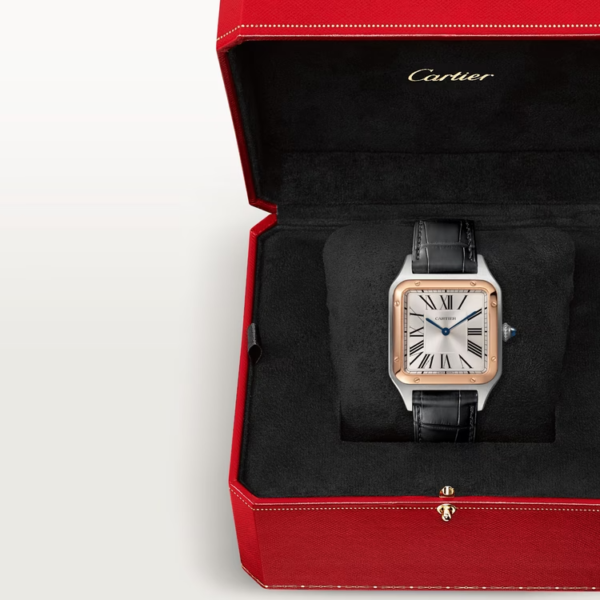 CARTIER SANTOS-DUMONT Rose Gold Mix 46mm - Image 7